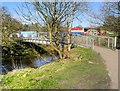 SD6627 : Witton Park, Footbridge over River Darwen by David Dixon