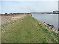 NZ5021 : Tees floodbank, Port Clarence by Christine Johnstone