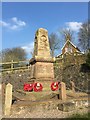 SJ8048 : Alsagers Bank: war memorial by Jonathan Hutchins