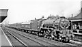 TL1929 : A Peppercorn A1 Pacific rushes through Hitchin on an Up express, 1961 by Ben Brooksbank