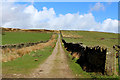 SD9731 : Track leading towards Wadsworth Moor by Chris Heaton