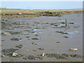 TR0165 : Wreck of old boat seen from the slipway to the old Harty Ferry by Marathon