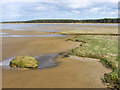 NH9259 : Edge of the sands at Culbin by Julian Paren