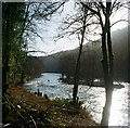 SO5615 : Canoeists at Symonds Yat by John Winder