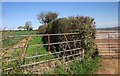 SX3575 : Two fields north of Venterdon by Derek Harper