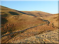 NS9423 : Hillsides above the Raggengill Burn by Alan O'Dowd