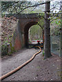 SU9155 : Railway bridge near Gapemouth by Alan Hunt