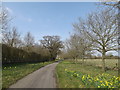 TM2173 : Thorpe Hall Road, Horham by Geographer