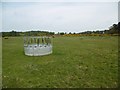 SU4601 : Badminston Common, cattle feeder by Mike Faherty