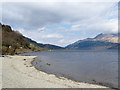 NS3596 : West shore of Loch Lomond by Trevor Littlewood