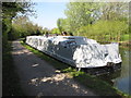 TQ1683 : Maude - wide canal boat on Paddington Arm, Grand Union Canal by David Hawgood