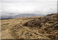 NM5424 : Rock outcrop on west side of Beinn na Croise by Trevor Littlewood