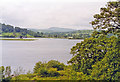 SH8931 : Southern end of Llyn Tegid, 1993 by Ben Brooksbank