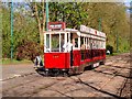 SD8303 : Blackpool and Fleetwood Vanguard Tram, Heaton Park Tramway Museum by David Dixon