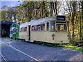 SD8303 : Blackpool Tram Line-Up at Heaton park by David Dixon