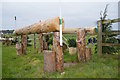 SJ5567 : Kelsall Hill Horse Trials: cross-country fence 8 by Jonathan Hutchins