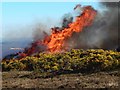 NS3878 : Muirburn by Lairich Rig