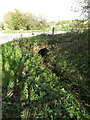 TM3372 : Culvert under Heveningham Long Lane by Geographer