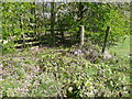 SE0723 : Sowerby Bridge FP079 (N14), blocked by barbed wire by Humphrey Bolton