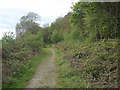 SS7986 : Footpath at woodland edge, Graig Fawr, Margam by eswales