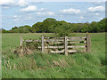 SU9961 : Bourne Meadows near Chobham by Alan Hunt