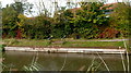 ST2936 : Canal landing stage near Bridgwater YMCA by Jaggery