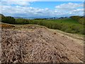 NS3678 : Course of a geological dyke by Lairich Rig