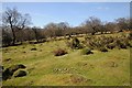 SO2737 : Common land above Abbey Farm by Philip Halling