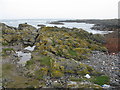 NL9343 : Rocky coast at Sandaig by M J Richardson