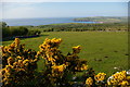 SN0337 : Newport Bay from Penyparc by Christopher Hilton