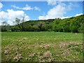 SH9270 : Maes yr pel droedd / football field, Llanfair Talhaiarn by Christine Johnstone