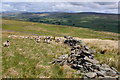 SD9087 : Upland Pastures above Cam High Road by Chris Heaton