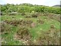 SH5347 : The western slopes of Cwm Pennant by Christine Johnstone