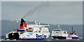 J3880 : Two Stena ferries, Belfast Lough (June 2015) by Albert Bridge