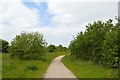 SJ8148 : Apedale Country Park: track to Watermills Wood by Jonathan Hutchins