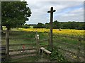 SJ8148 : Alsagers Bank: path junction near High Lane by Jonathan Hutchins