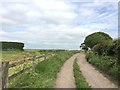 SJ8048 : Alsagers Bank: track to Watermills Farm by Jonathan Hutchins