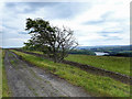 NZ0742 : Course of Dismantled Railway by Mick Garratt