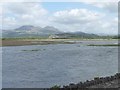 SH5738 : Corsydd Afon Glaslyn marshes by Christine Johnstone