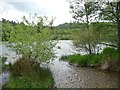 SH6541 : Stream from Coed Llyn Mair by Christine Johnstone