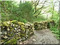 SH6541 : Footpath crossing wall, Coed Llyn Mair by Christine Johnstone