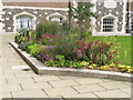 TQ3082 : Flower bed, London House, Goodenough College by David Hawgood