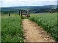 TR0746 : Footpath emerges on to Wye Downs by Marathon