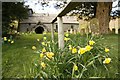 SO1953 : Daffodils Round the Handrail by Bill Nicholls