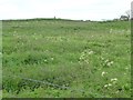 SK2260 : Rainslow Scrins, looking west to Blake Low trig point by Christine Johnstone