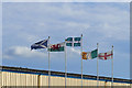 SX8672 : Flags, Newton Abbot racecourse by Alan Hunt