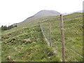 NN2629 : Deer fence on Beinn Chuirn by Iain Russell