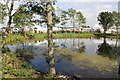 SJ7077 : The Pond at Clay House Farm by Jeff Buck