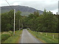 NN2742 : Lane at Victoria Bridge, near Bridge of Orchy by Malc McDonald