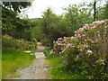 NM8980 : Path at Glenfinnan by Malc McDonald